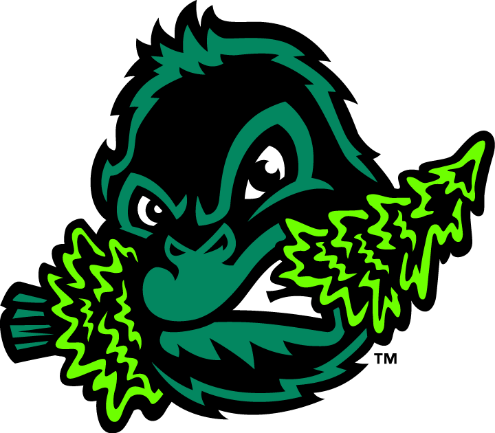 Eugene Emeralds 2013-Pres Alternate Logo vinyl decal